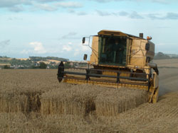 Combine Harvester