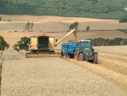 Combine and Tractor