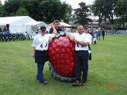 Summer Fruit Festival