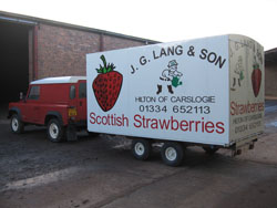 Fruit Stall